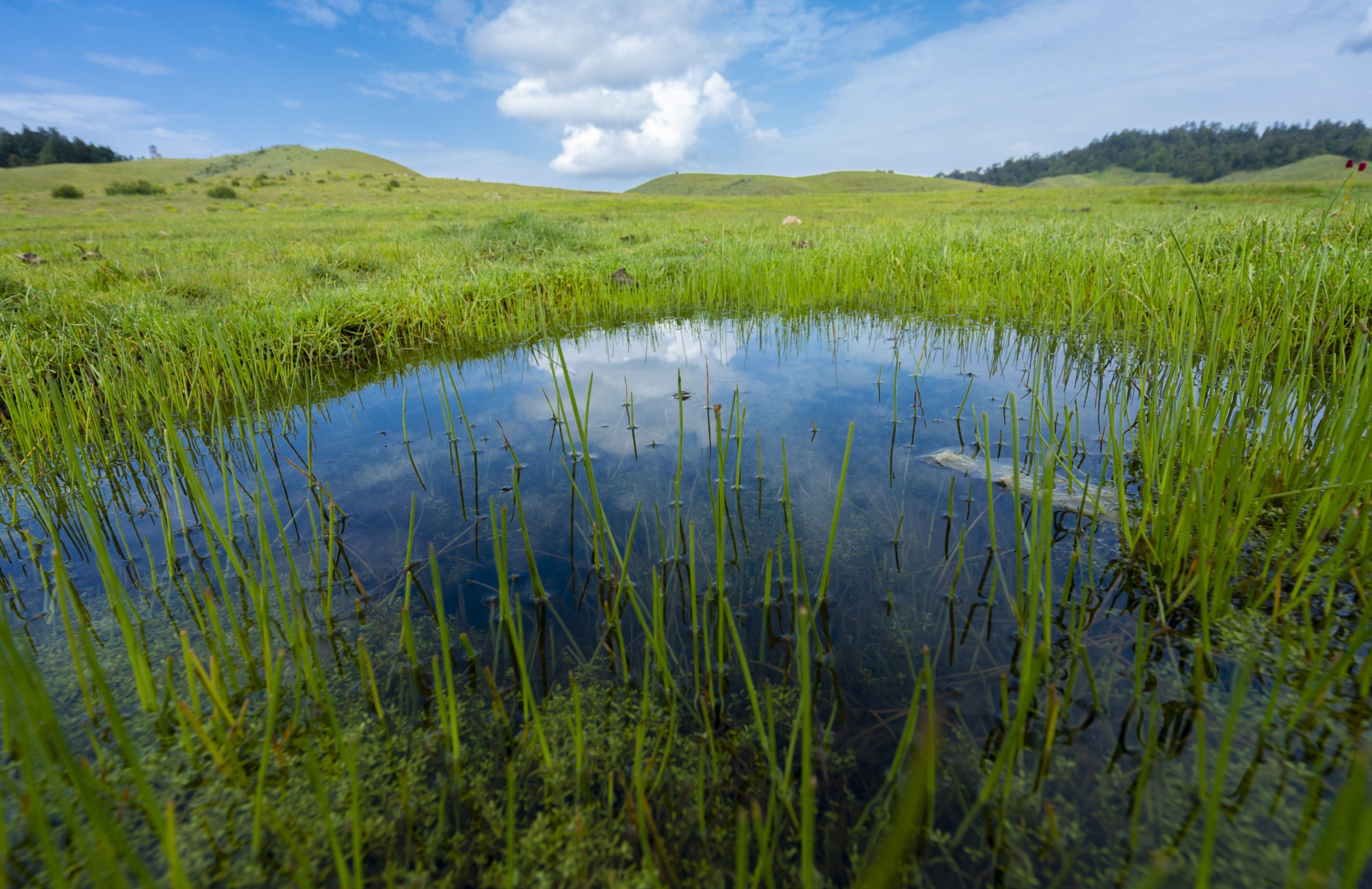 khaptad